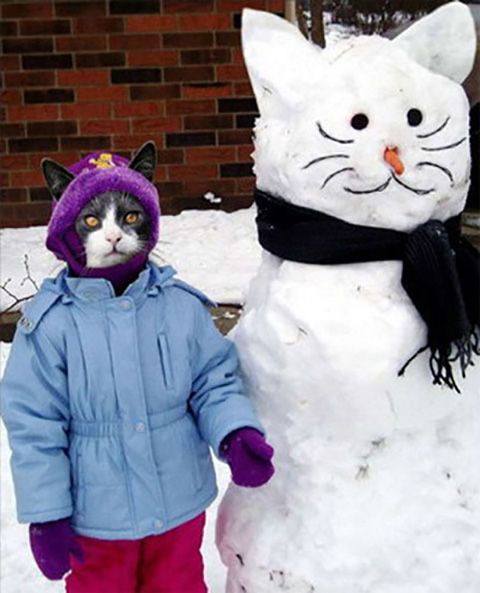 Ethan’s avatar: a bundled-up cat beside a snow cat.